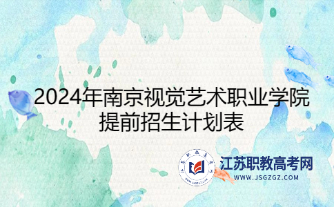 2024年南京視覺藝術職業(yè)學院提前招生計劃